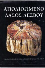 Απολιθωμένο Δάσος Λέσβου